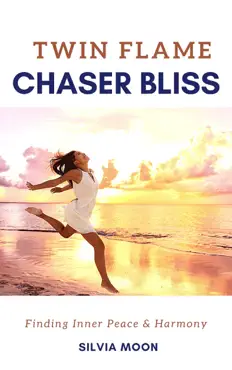 twin flame chaser bliss book cover image