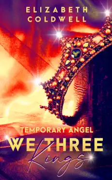 temporary angel book cover image