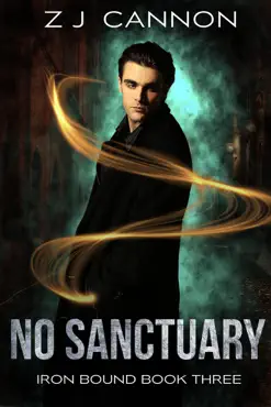 no sanctuary book cover image
