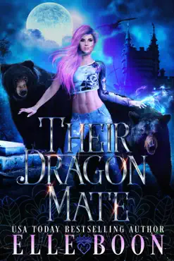 their dragon mate book cover image
