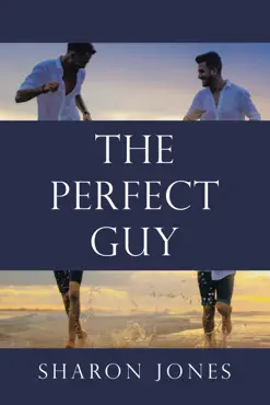 the perfect guy book cover image