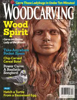 woodcarving illustrated issue 91 summer 2020 book cover image
