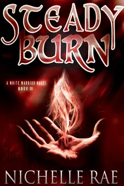 steady burn book cover image