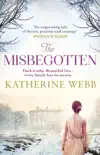 The Misbegotten synopsis, comments