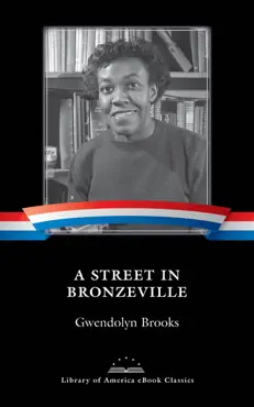a street in bronzeville book cover image