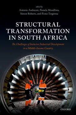 structural transformation in south africa book cover image