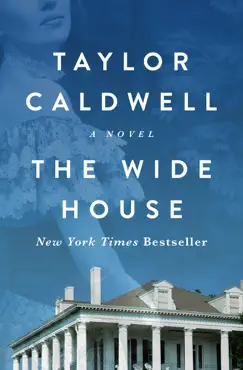 the wide house book cover image
