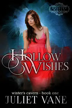 hollow wishes book cover image
