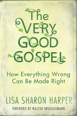 the very good gospel book cover image