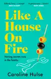 Like A House On Fire sinopsis y comentarios
