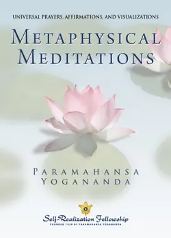 metaphysical meditations book cover image