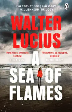 a sea of flames imagen de la portada del libro