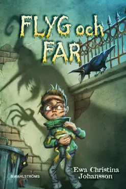 flyg och far book cover image