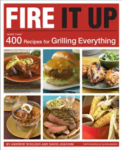 fire it up book cover image