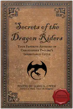 secrets of the dragon riders book cover image