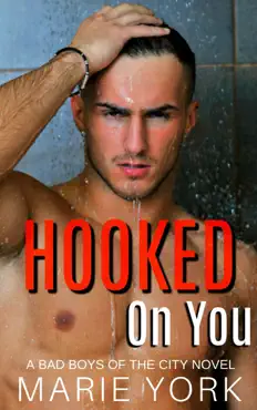 hooked on you book cover image