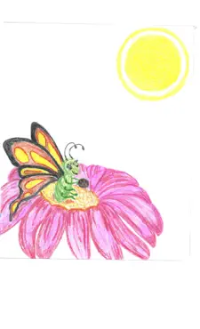 bella the bedtime butterfly book cover image