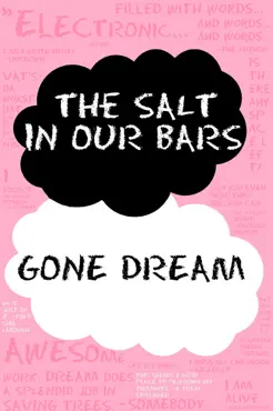 the salt in our bars book cover image