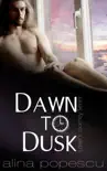 Dawn to Dusk synopsis, comments