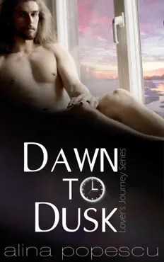 dawn to dusk book cover image