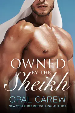 owned by the sheikh book cover image
