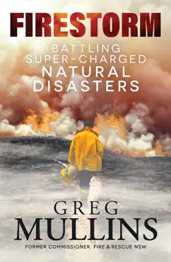firestorm book cover image