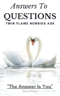 questions twin flame newbies ask book cover image