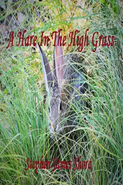 a hare in the high grass book cover image