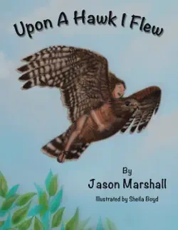 upon a hawk i flew book cover image