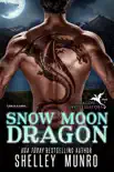 Snow Moon Dragon synopsis, comments