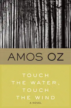 touch the water, touch the wind book cover image