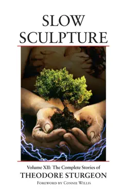 slow sculpture book cover image