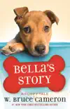 Bella's Story sinopsis y comentarios