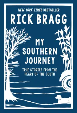 my southern journey book cover image