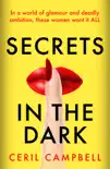 Secrets in the Dark synopsis, comments
