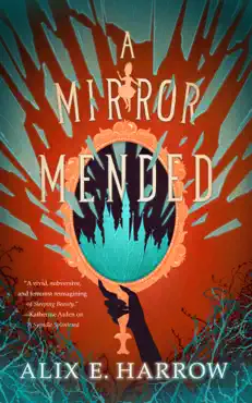 a mirror mended book cover image