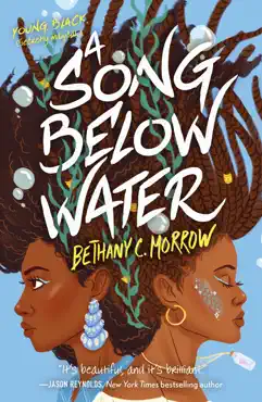 a song below water book cover image