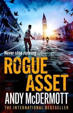 rogue asset book cover image
