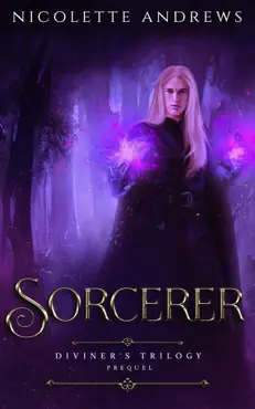 sorcerer book cover image