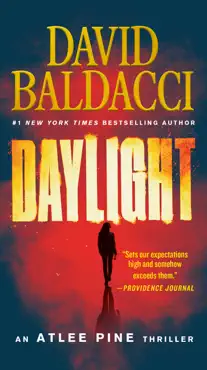 daylight book cover image