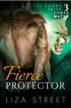 Fierce Protector synopsis, comments