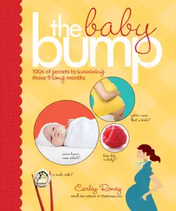the baby bump book cover image