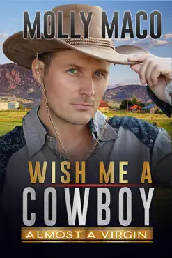 almost a virgin - western romance book cover image