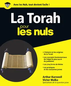la torah pour les nuls book cover image