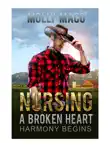 Harmony Begings - Nursing A Broken Heart synopsis, comments