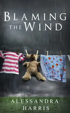 blaming the wind book cover image