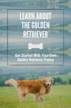 Learn About The Golden Retriever: Get Started With Your Own Golden Retriever Puppy sinopsis y comentarios