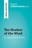 The Shadow of the Wind by Carlos Ruiz Zafón (Book Analysis) sinopsis y comentarios
