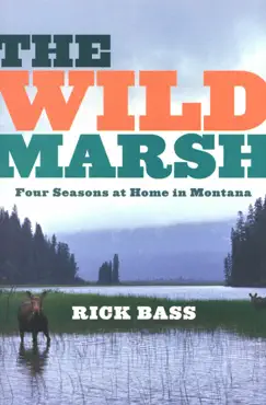 the wild marsh book cover image