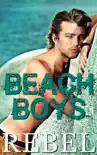 Beach Boys synopsis, comments